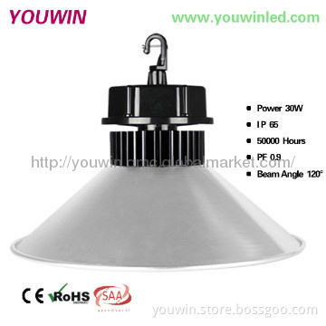 Mean Well Driver 30w industrial led light CE ROHS SAA 120 Beam angle